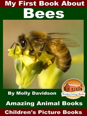 cover image of My First Book About Bees
